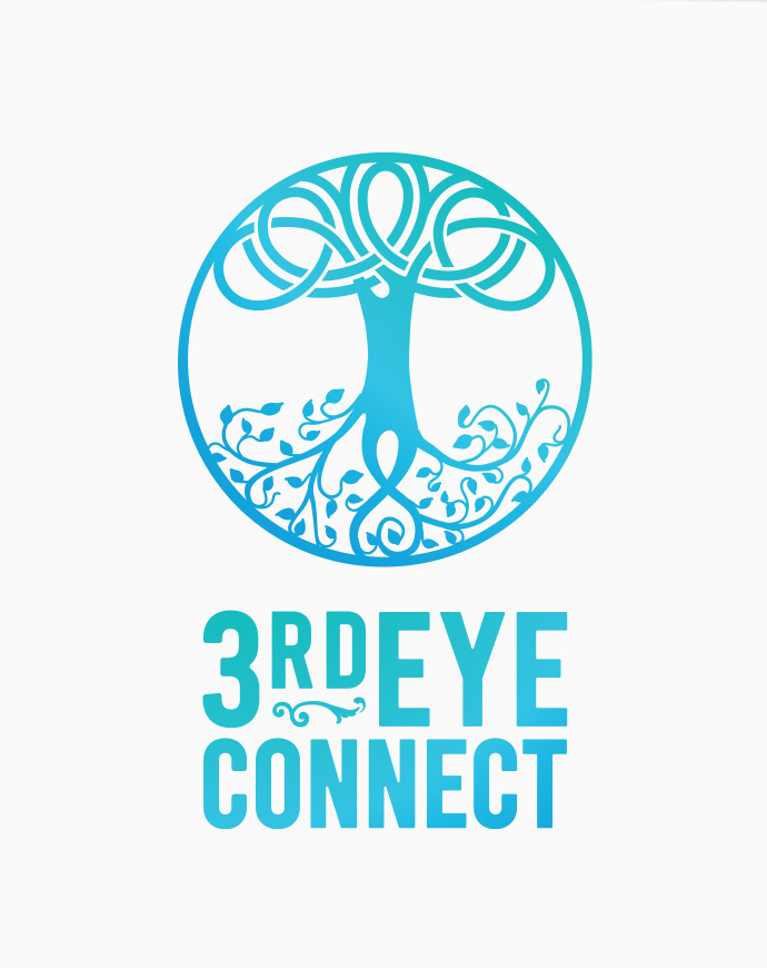 3rd eye connect logo