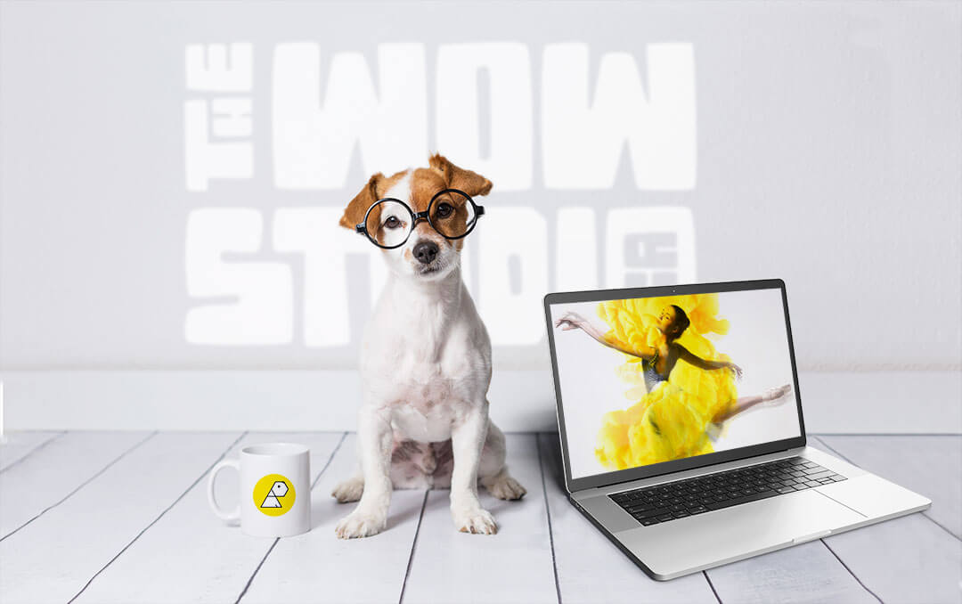 wowdog-sitting-with-glasses-laptop-and-coffee