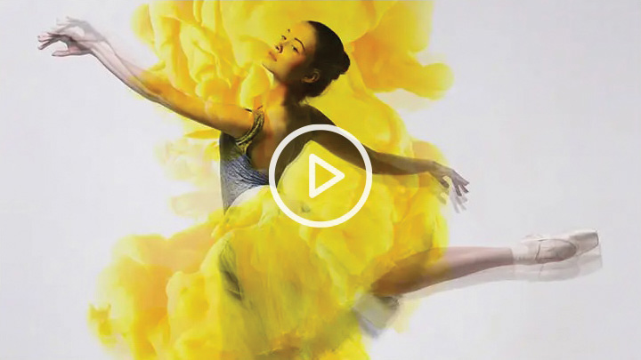 the wow studio show reel