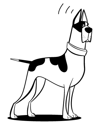 dog with a sharp nose alert 