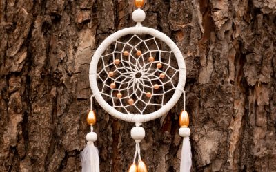 FNDHO brand identity redesign